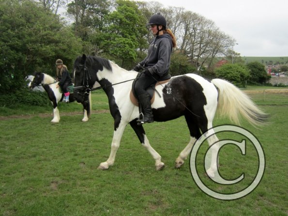 Starting some gentle yield work (6)