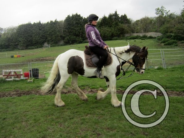 Starting some gentle yield work (7)