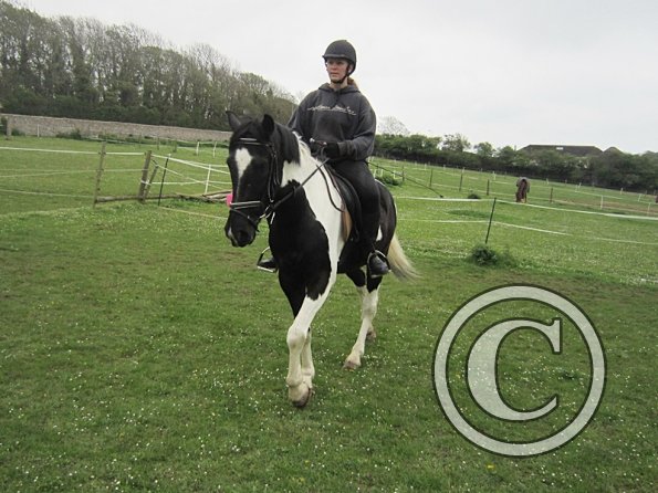 Starting some gentle yield work (8)