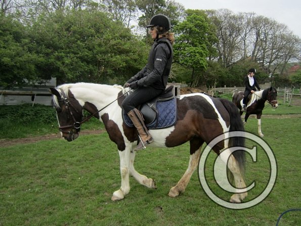 Starting some gentle yield work