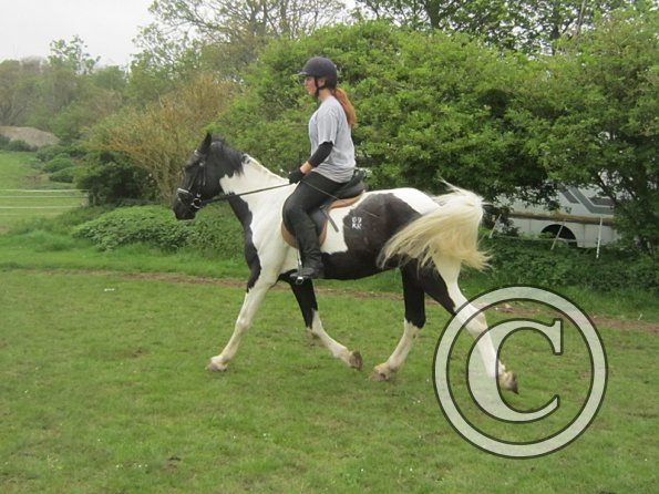 Yielding off the circle (11)