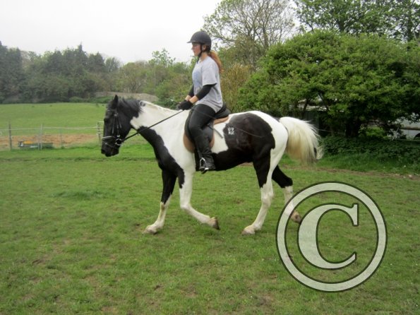 Yielding off the circle (14)