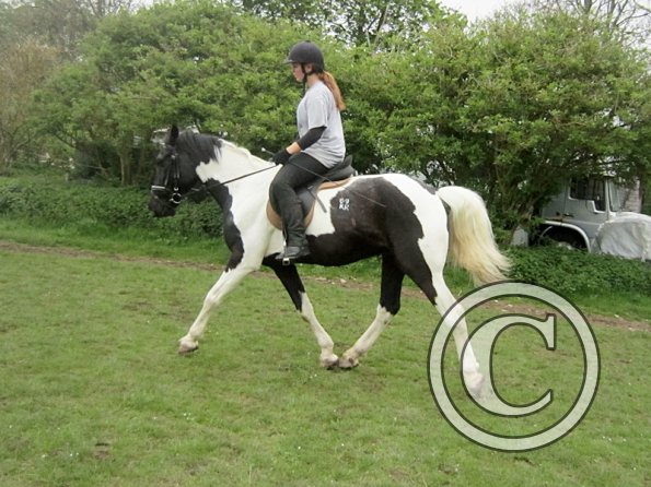 Yielding off the circle (15)