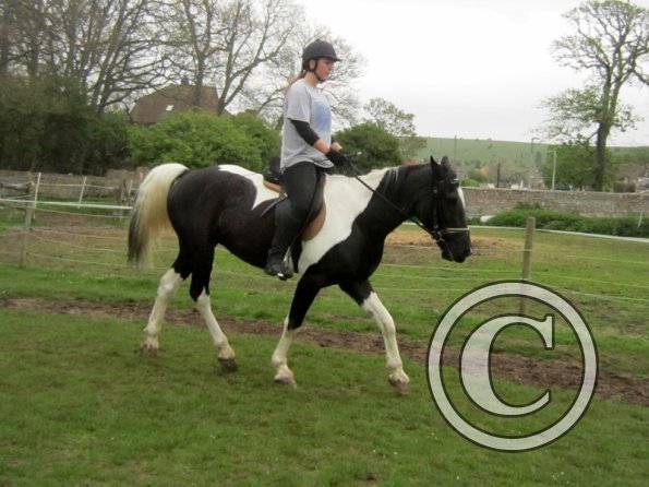 Yielding off the circle (4)