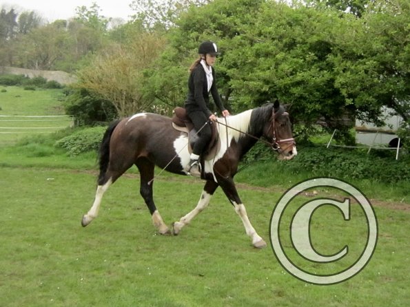 Yielding off the circle (5)