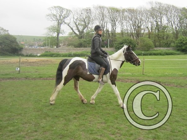 Yielding off the circle (9)