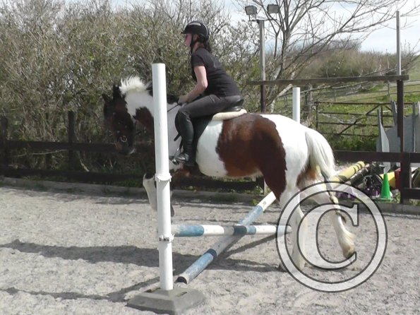 Shelley and Lottie (1)