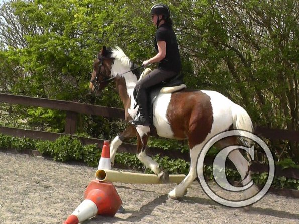 Shelley and Lottie (3)