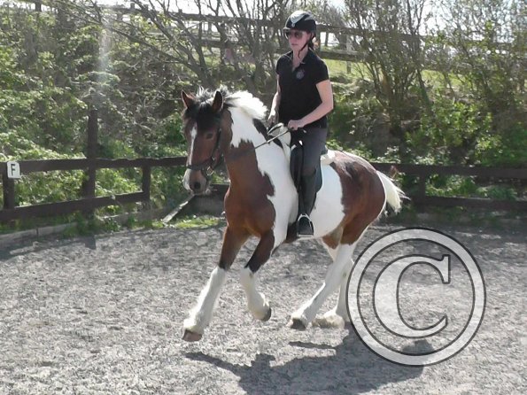 Shelley and Lottie (4)