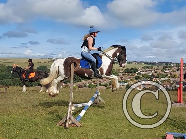 Amber Rose and Sula 3