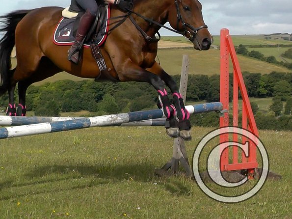 Poppy asymetrical spread 1