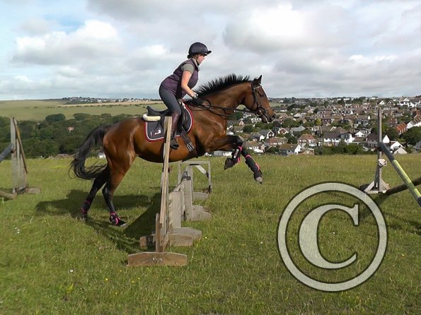 Rebecca and Poppy filler 2