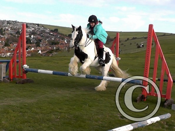 Amelie and Trigger (2)