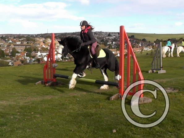 Mischa and Storm (1)