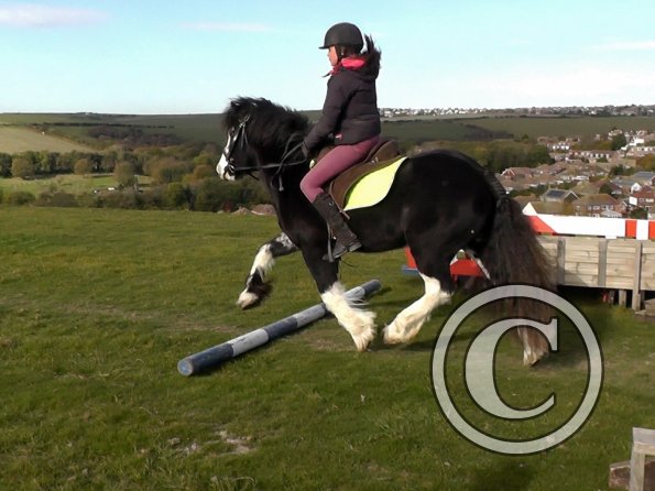 Mischa and Storm (2)