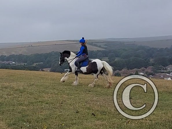 Amber-rose and Sula (2)