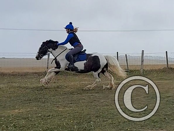 Amber-rose and Sula (6)