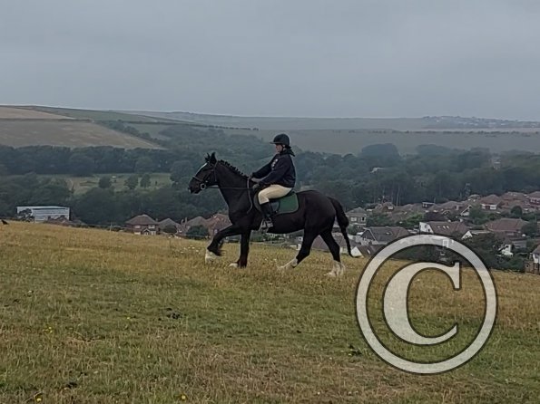 Bridie and George (1)