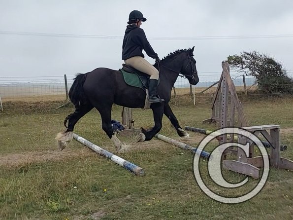 Bridie and George (2)