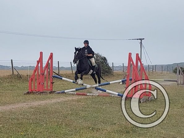 Bridie and George (5)