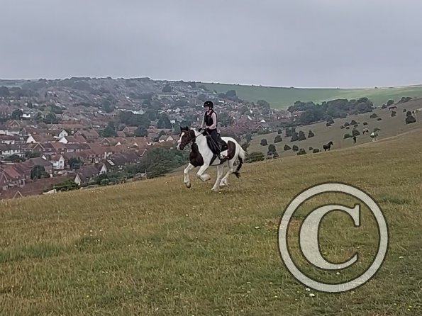 Frankie and Lance (1)