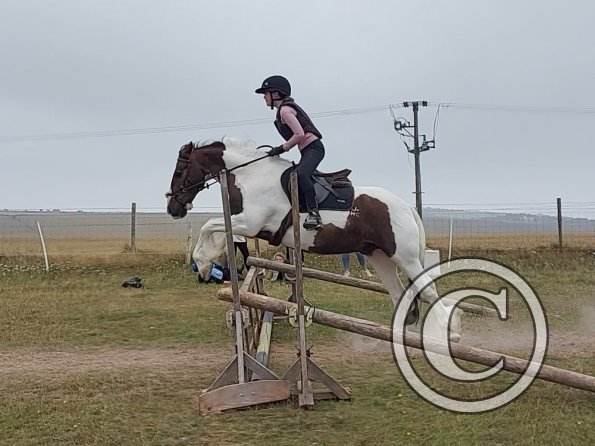 Frankie and Lance (10)