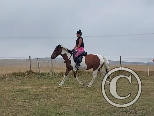 Shelley and Lottie (1)