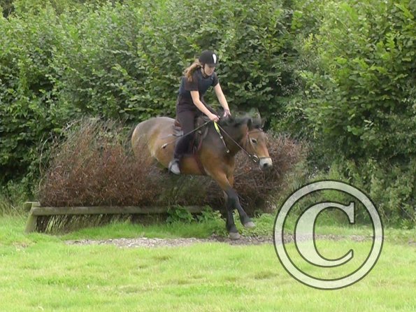 Appley and Daisy (10)