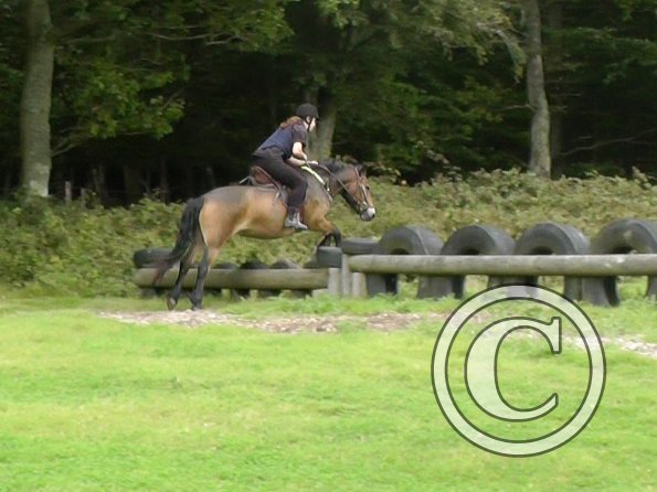 Appley and Daisy (11)