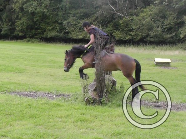 Appley and Daisy (12)