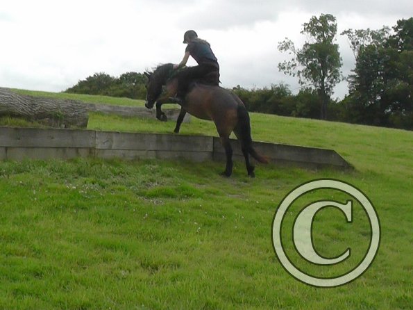 Appley and Daisy (13)