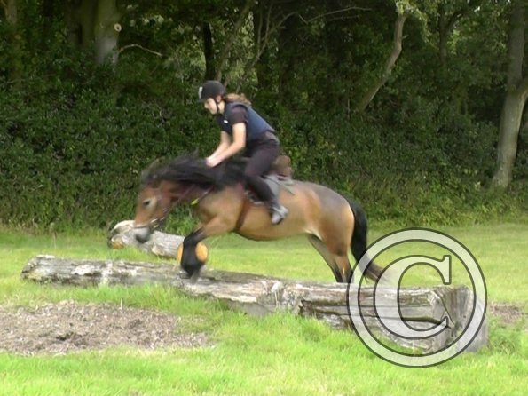 Appley and Daisy (2)