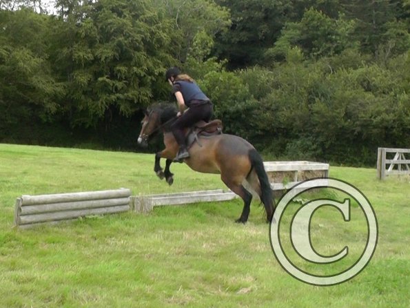 Appley and Daisy (3)