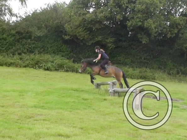 Appley and Daisy (4)