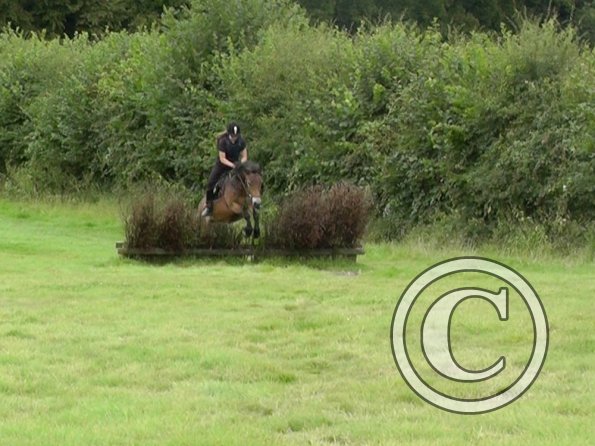 Appley and Daisy (5)