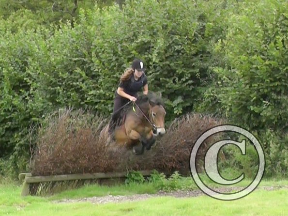 Appley and Daisy (6)