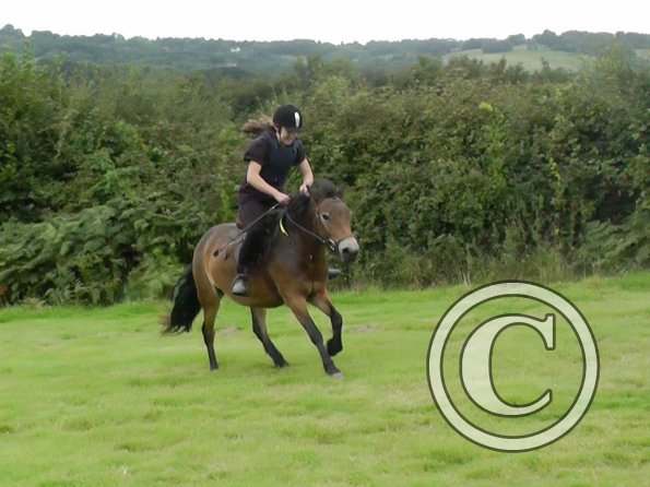 Appley and Daisy (7)