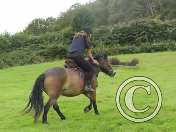 Appley and Daisy (8)