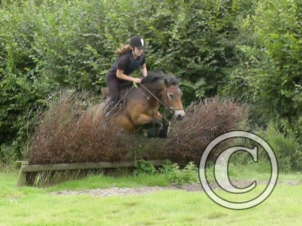 Appley and Daisy (9)