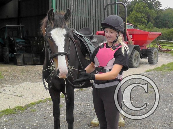 Teddy and Lily start