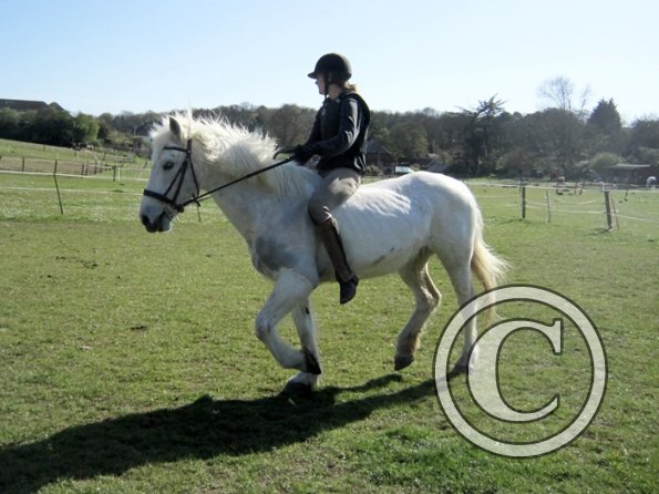 Bareback clinic (10)