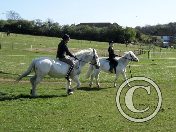 Bareback clinic (11)