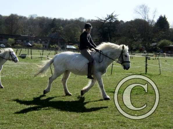 Bareback clinic (12)