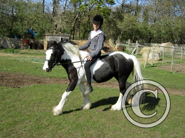 Bareback clinic (13)