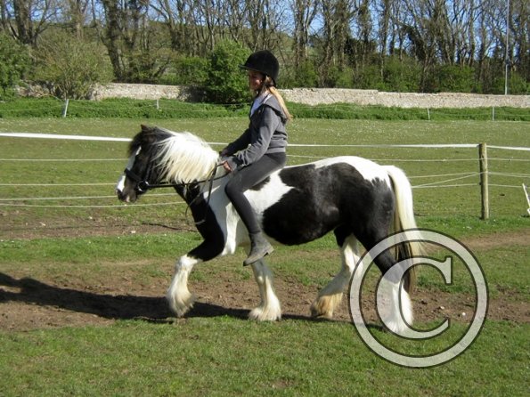 Bareback clinic (14)