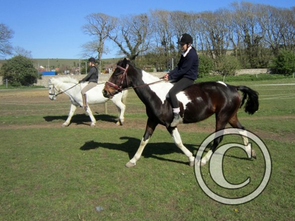 Bareback clinic (15)