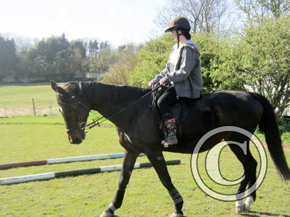 Bareback clinic (16)