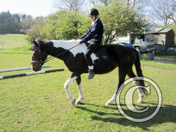 Bareback clinic (17)