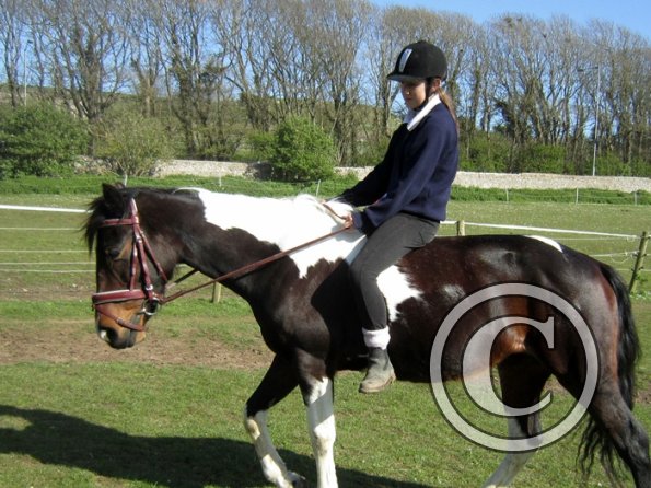 Bareback clinic (18)