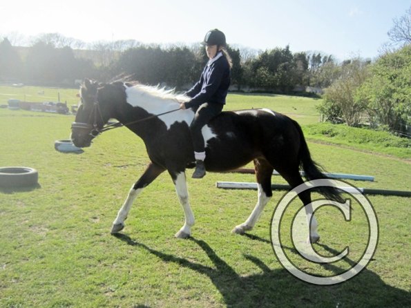 Bareback clinic (19)